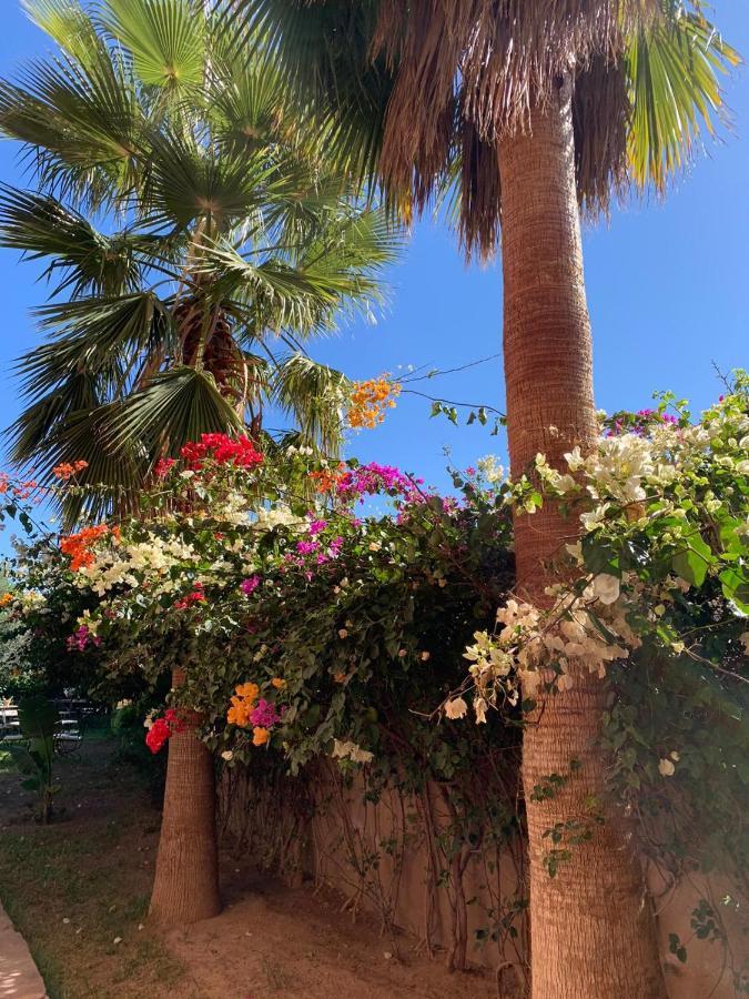 Les Terrasses Du Lac Marrakech ララ・タクルクスト エクステリア 写真
